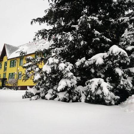 Hotel Wandersleben - Erfurt エクステリア 写真